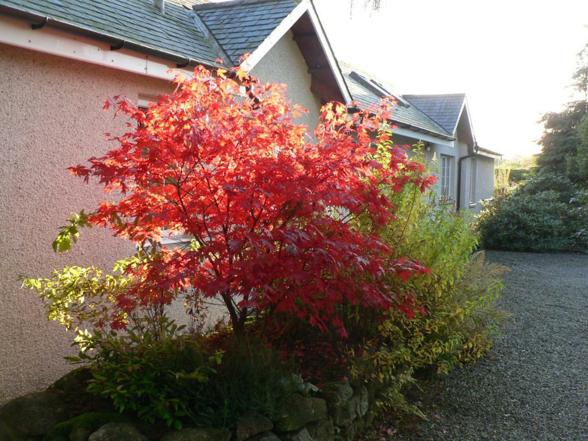 Bridge Of Bennie Cottage Banchory Exteriér fotografie
